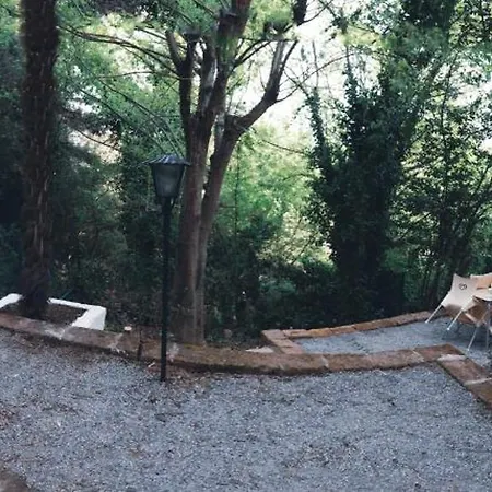 Peterpan, Direttamente Sulla Piazza