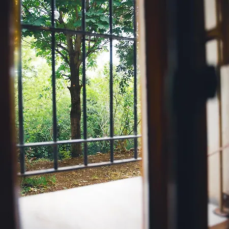 Peterpan, Direttamente Sulla Piazza