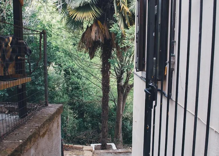 Peterpan, Direttamente Sulla Piazza Apartman Casal Fiumanese