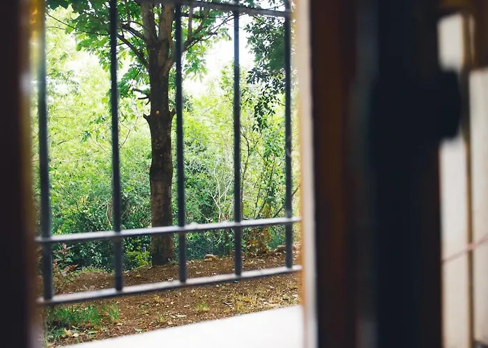 Peterpan, Direttamente Sulla Piazza